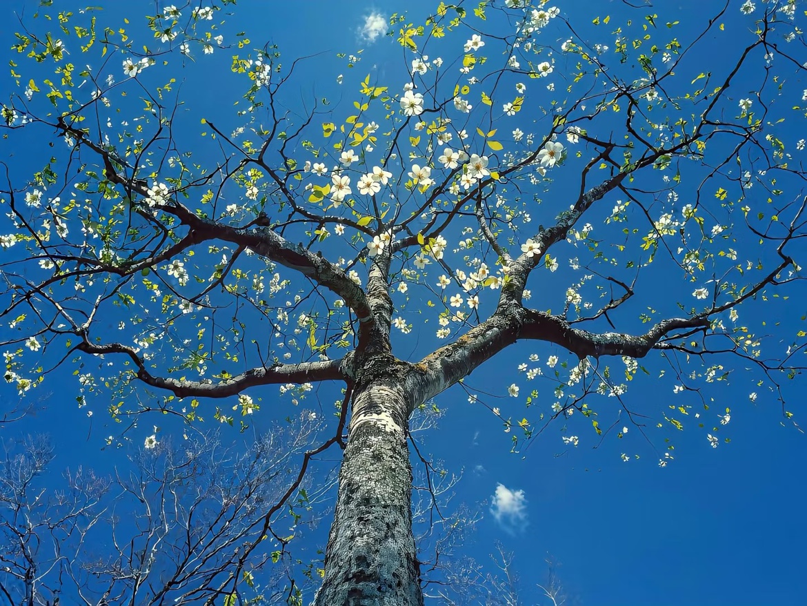 二十一岁，在门槛上