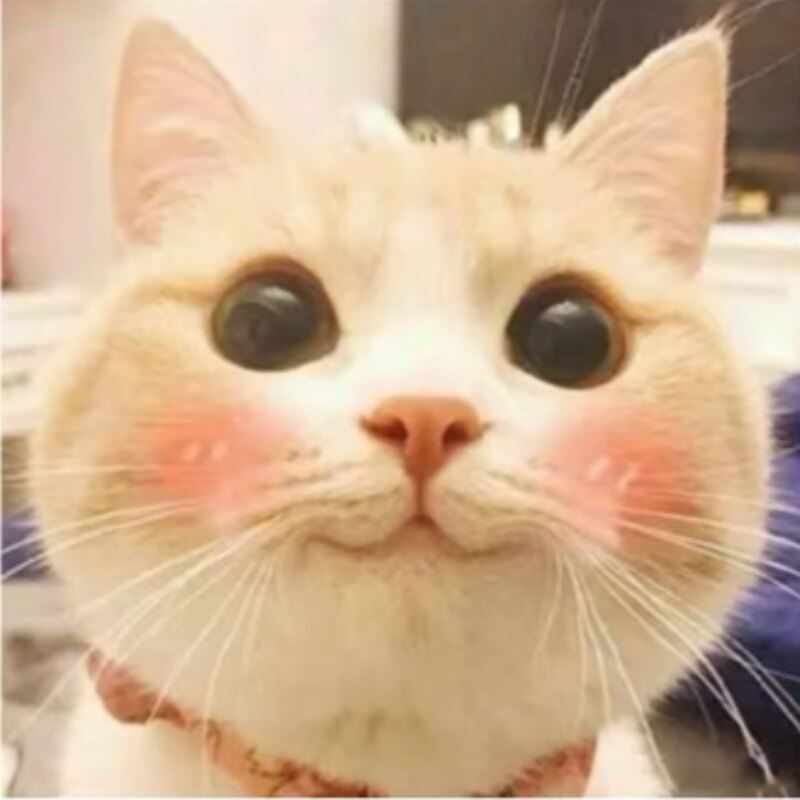 a8a8