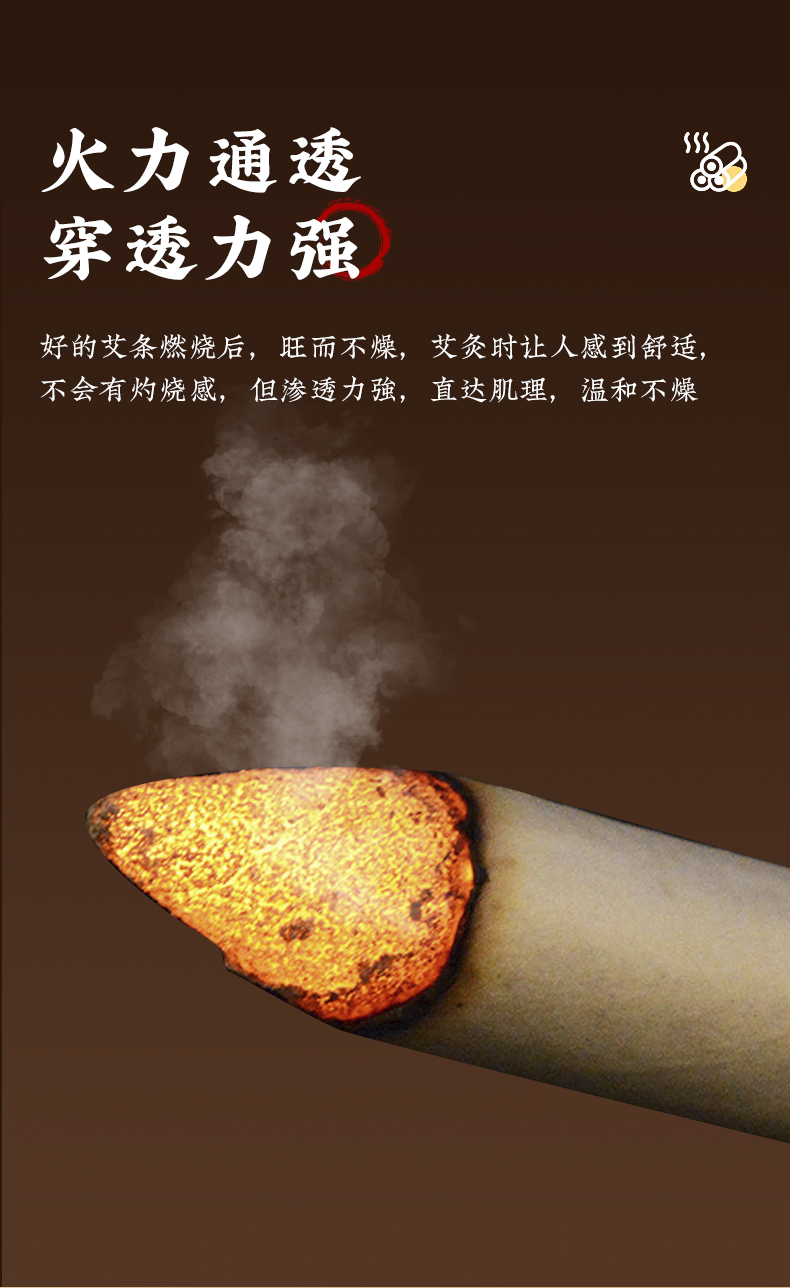 南京同仁堂 乐家老铺 艾条 10支盒装 双重优惠折后¥21.3包邮