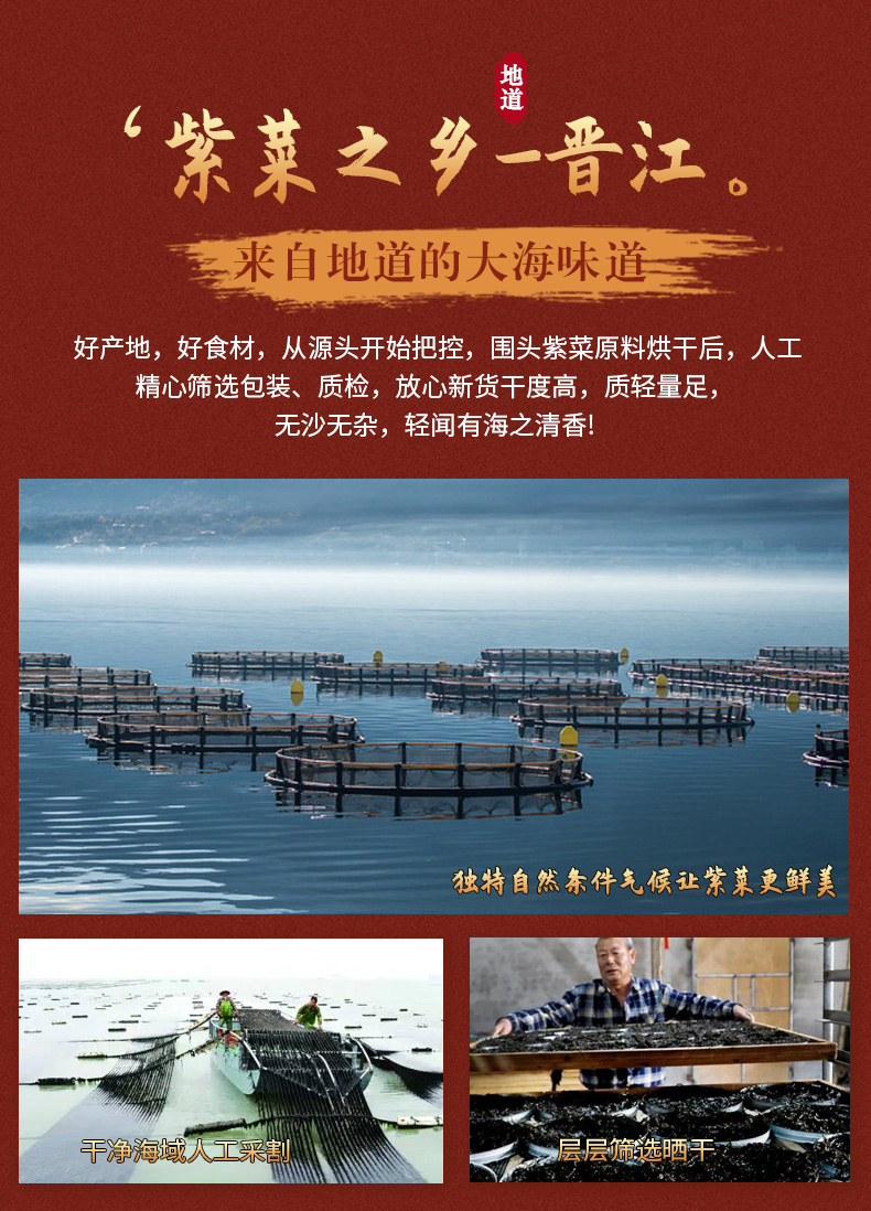 福建特产，免洗无沙：15gx5包 汤臣一品 排骨味干坛紫菜 12.9元包邮 买手党-买手聚集的地方