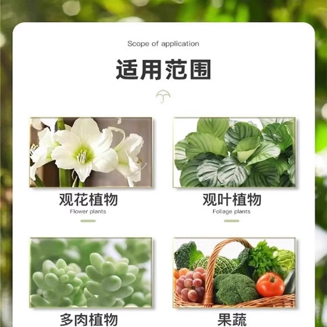 ຢາຂ້າເຊື້ອເຫັດ Huabingkang ສີດເຊື້ອແບັກທີເຣັຍ Liqing multi-bacteria chloroquine plant flower potted universal rooting powder ໂດຍບໍ່ມີການ dilution