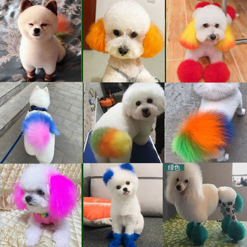 Black Brown Pet Pooch Hair Dye Hair Special Hair Dye Hair Dye hair Hair Cream biggie with Bears Bey cat White