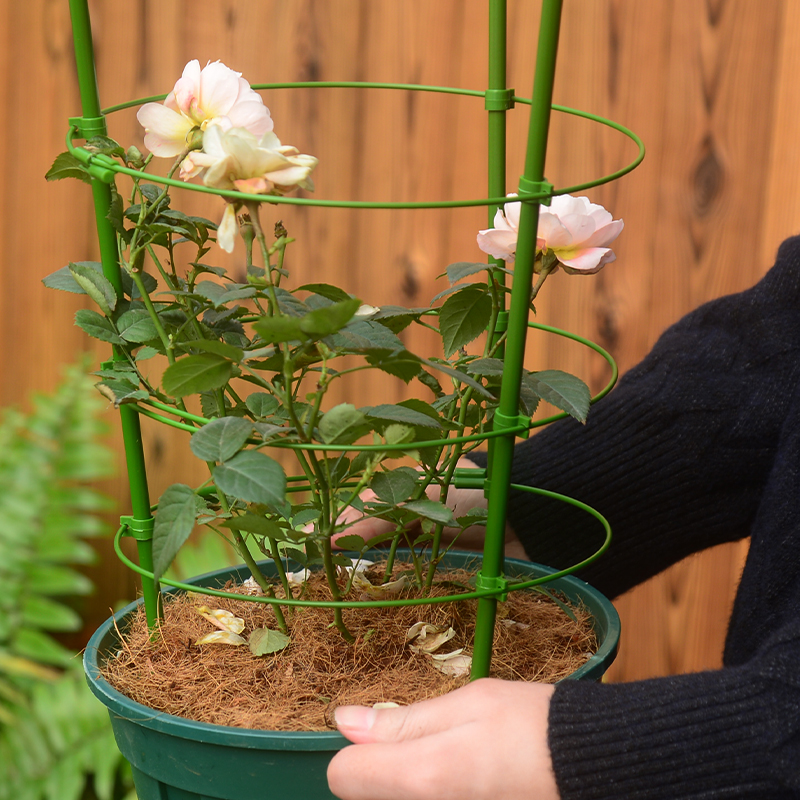 Rose flower pot flower stand climbing vine shelf indoor clematis climbing vine plant pillar pole outdoor courtyard climbing bracket