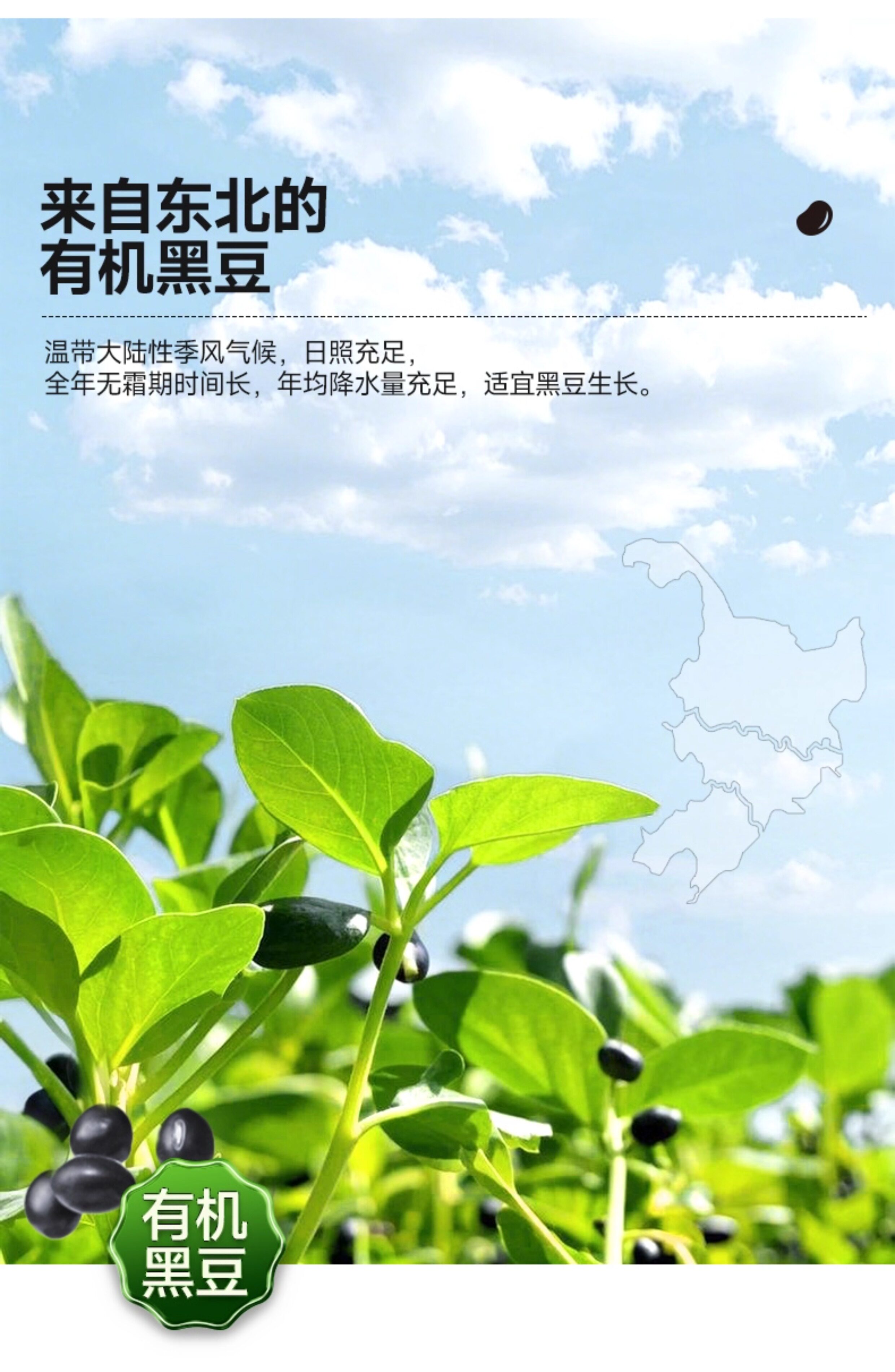 安享好物 安享S级生抽-林小生有机 黑豆酱油 国标 