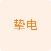 挚电企业店