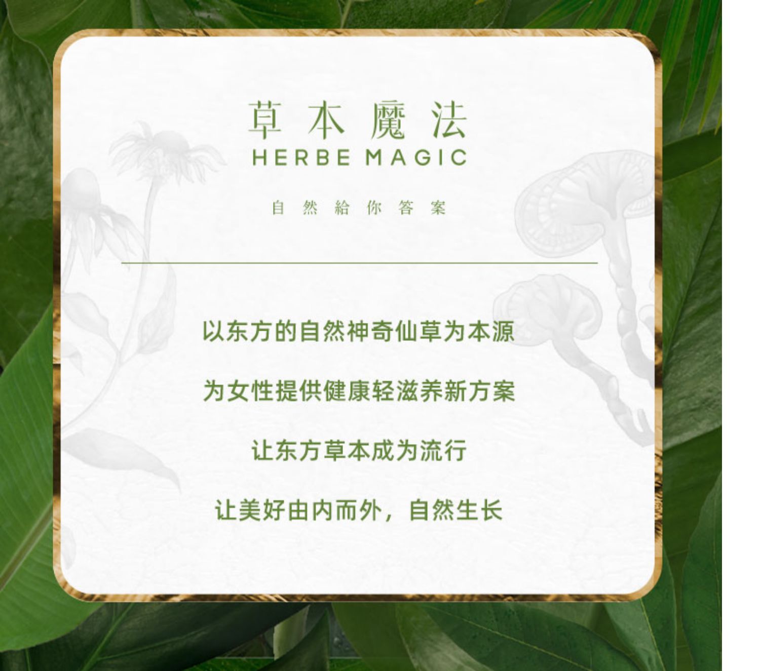 【可首单】灵芝养肤冻红石榴提高肌肤光泽