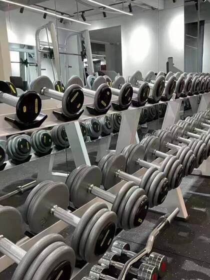 Heavy-Duty Flat-Head Painted Dumbbells 50kg Pair Cast Iron 25 30 40 60 80 100kg for Fitness Use