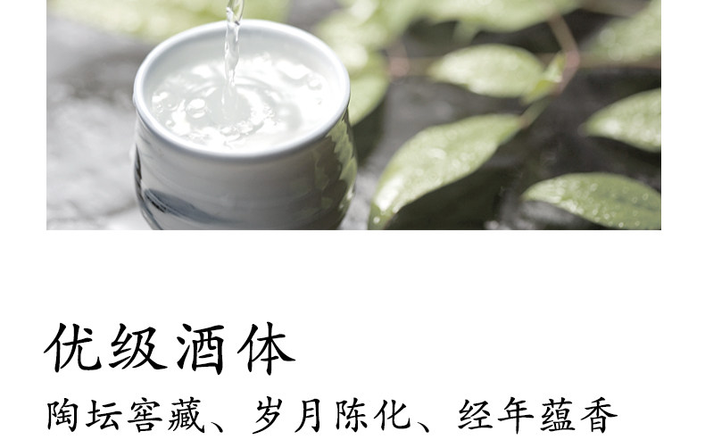安享好物 安享A级白酒-文王贡人生 而立白酒 团标 