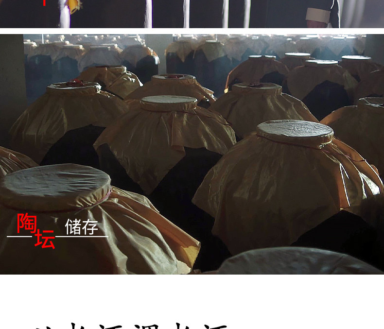 安享好物 安享A级白酒-文王贡人生 天命白酒 企标 