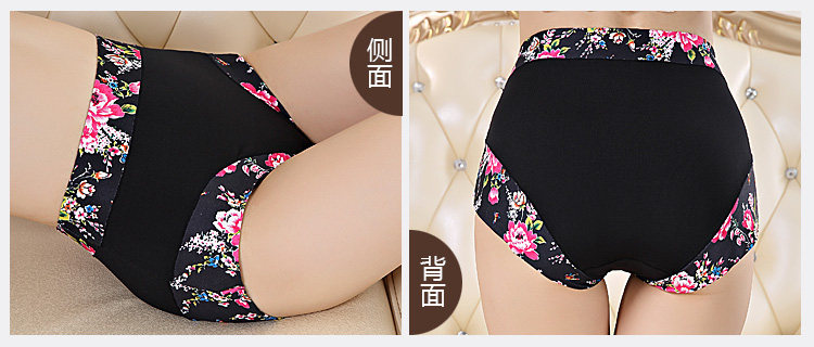 Slip Moyen-âge shushi-01 en coton - Ref 640691 Image 24