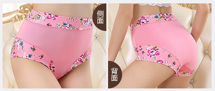 Slip Moyen-âge shushi-01 en coton - Ref 640691 Image 18