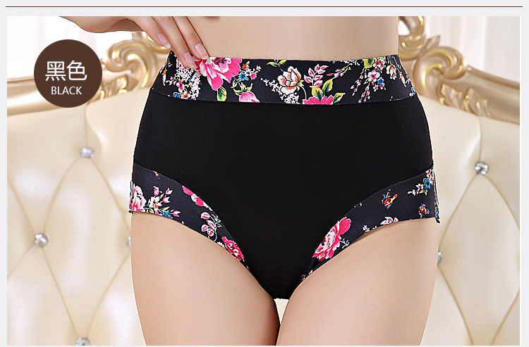 Slip Moyen-âge shushi-01 en coton - Ref 640691 Image 23