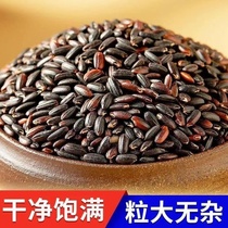 Northeastern black glutinous rice grains farmers new goods porridge grains whole grains blood glutinous rice non-purple rice black rice