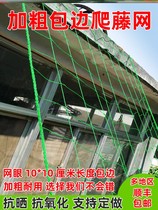 Bean Horn Climbing Wine Net Fabric Fabric Culture Stop Cell Fruit Specialized Net Grape Plant Climbing and Plant