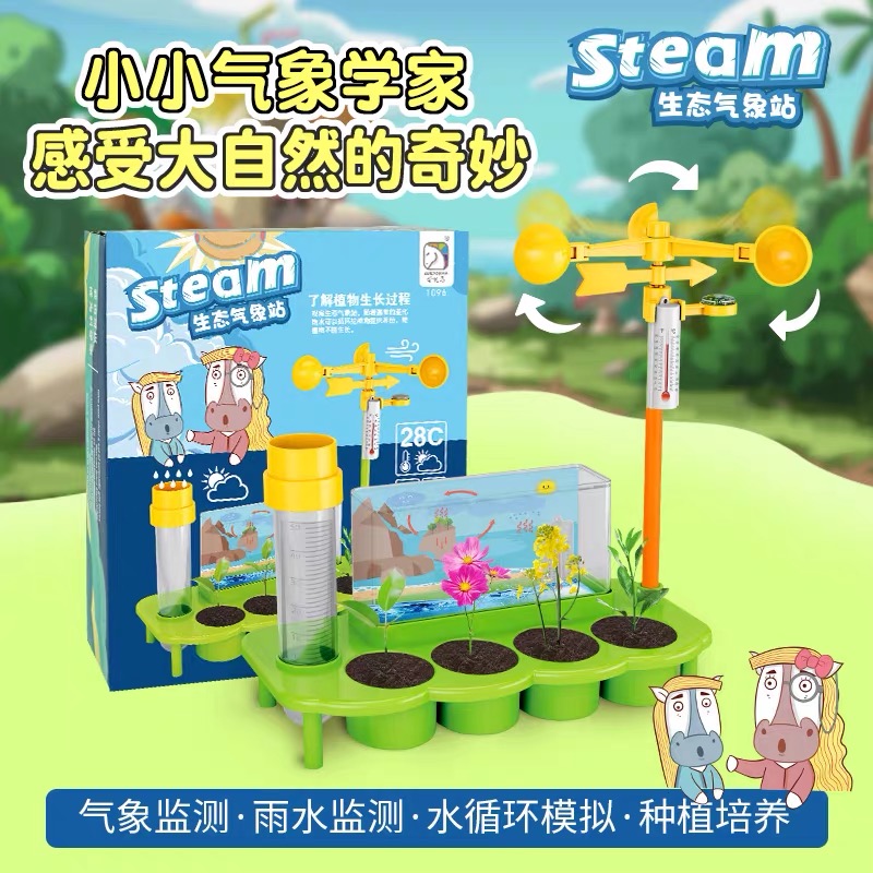 Kindergarten Science District Teaching Toys Small Weather Station Primary School Students Weather Observation Children's Science Experiment Weather Vane
