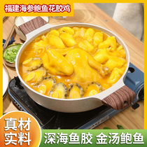 Flower Glue Chicken Fujian Gold Soup Flower Glue Chicken Ready-to-eat Sea Cucumber Abalone Flower Glue Chicken Soup Seafood Annual Goods Gift Box Ingredients