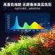 ແສງສະຫວ່າງຕູ້ປາ led super bright lighting usb mini special color change full spectrum betta fish aquatic plant lamp clip light