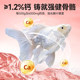 Butterfly carp special feed platinum butterfly carp food universal granular fish food sinking feed whitening sports body bright ສີ