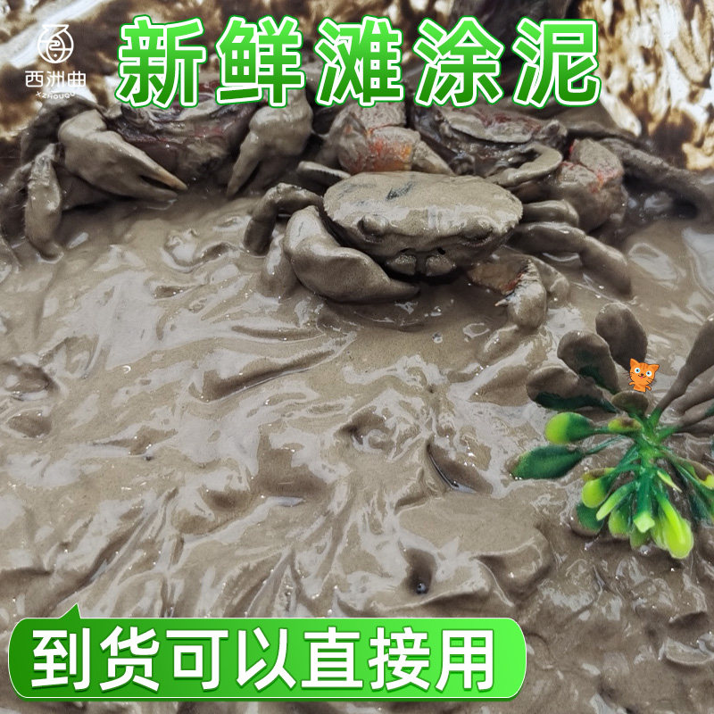 鱼缸辣椒蟹生态泥测评：这滩涂泥真能养出“红辣蟹”？25年养蟹老手来实测-旅游-淘宝好物网