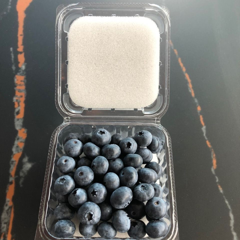 Blueberry Sponge Gasket 125g Blueberry Disposable White 2000 Pieces Environmentally Friendly Transparent Box Special Fruit Gasket