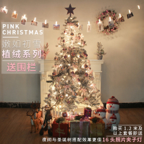 Christmas Tree Package 1 5m 1 8m 2 1m 2 4m encrypted snow Christmas scene decoration