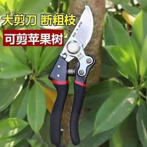 Multifunctional pruning shears gardening scissors fruit tree pruning shears garden thick branch shears floral fruit shears household pruning shears