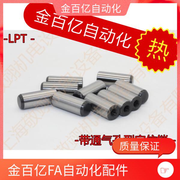 Internal thread positioning pin with blowholes type LPT8-12 15 20 25 30 30 thread M5error