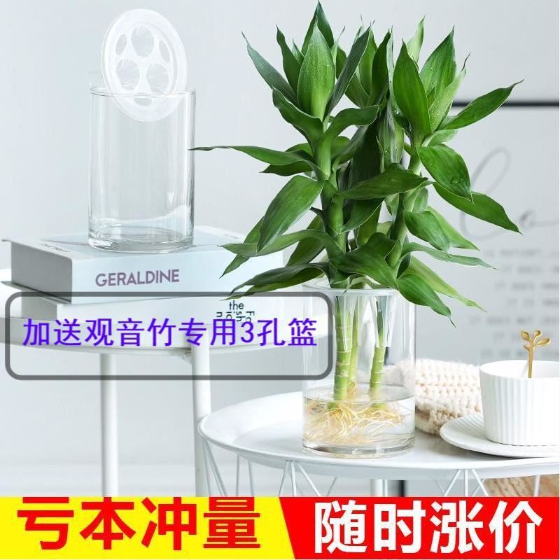 Dripping Guanyin hydroponic utensils Guanyin bamboo special hydroponic utensils hydroponic gold Ge glass vase transparent plant copper
