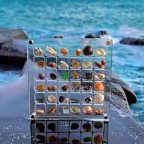 贝壳收纳相框微型亚克力盒磁力透明展示海边海螺石头饰品标本收藏