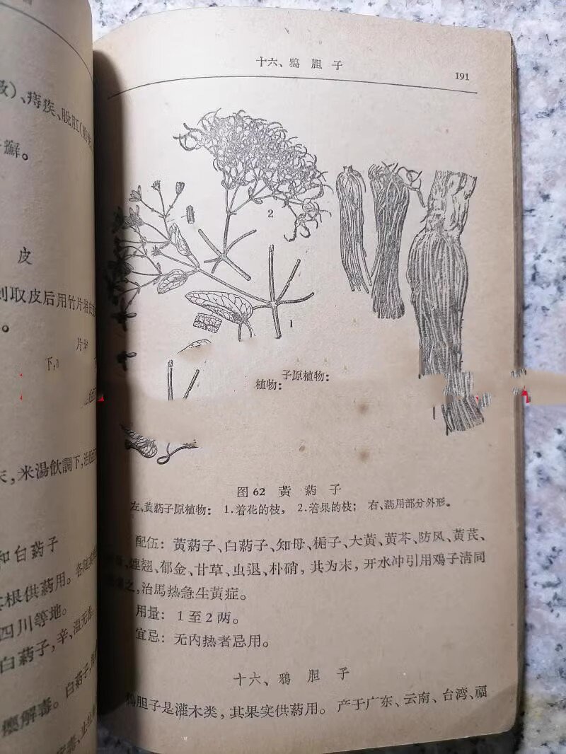 中医兽医经典《兽医中药与处方学》如何选择？-畜牧-淘宝百科网