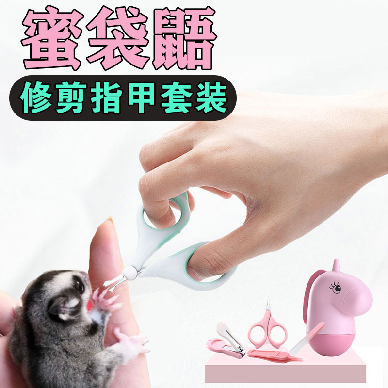 Honey bag glider nail scissors special honey quoll full set of nail clippers chinchilla rabbit guinea pig flying squirrel nail grinder supplies