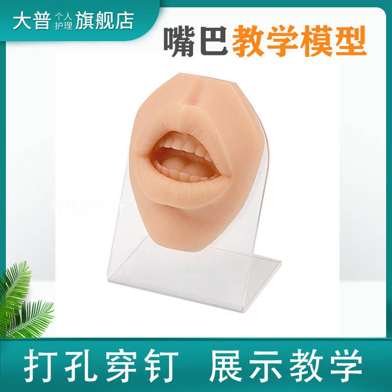 模拟嘴巴模型 穿孔穿刺缝合练习嘴部模型 唇钉嘴钉展示模型