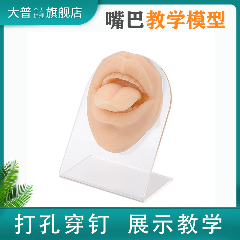 嘴巴舌头模型 穿孔穿刺缝合练习嘴部模型 唇钉嘴钉舌钉展示模型