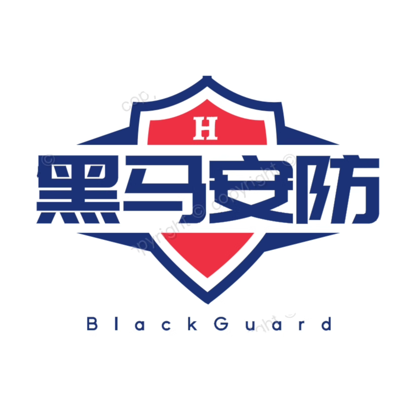 黑马安防企业店