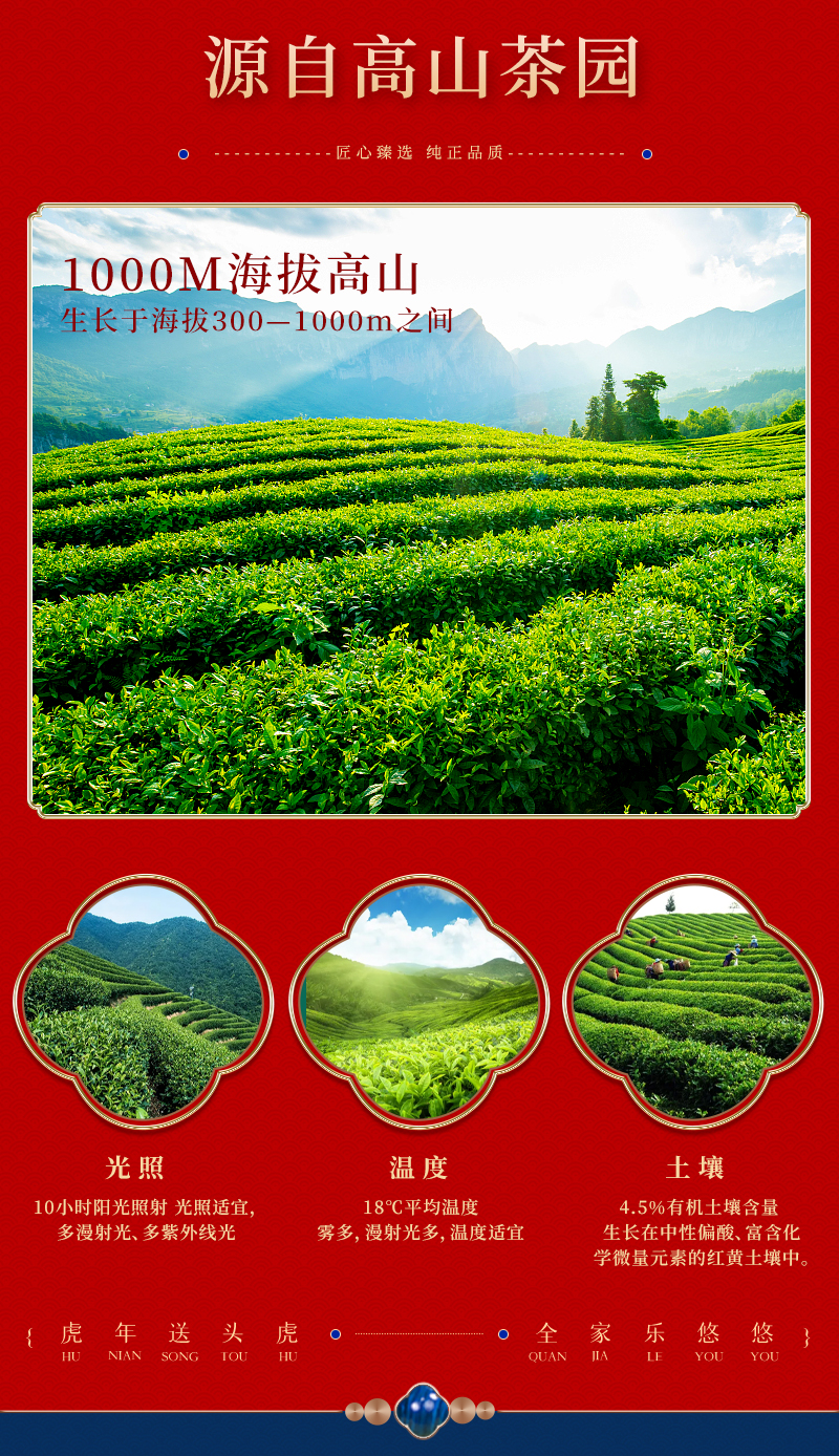 悟静茶缘 大红袍+金骏眉+铁观音+正山小种 茶叶礼盒 图7