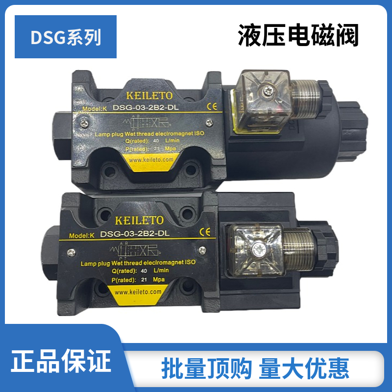 DSG-02-2B2-LW hydraulic solenoid valve DSG-02-2B2-DL spot