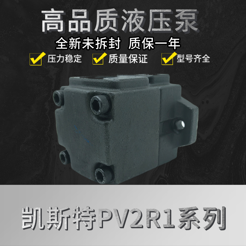 Kester hydraulic PV2R2-79-F-RPV2R2-85-F-R PVL2-79 PVL2-85 dosing vane pump-Taobao