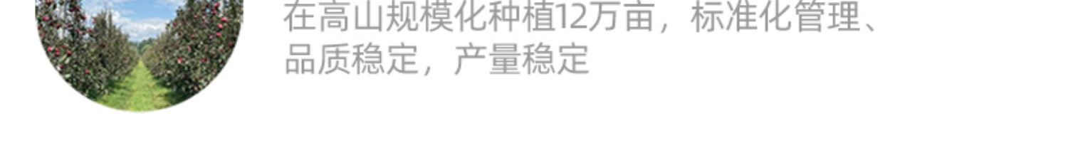 【阿克苏冰糖心苹果】净重5斤大果80mm整箱