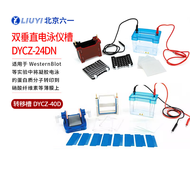 北京六一DYCZ-24DN蛋白垂直电泳槽DYCZ-40D转移槽凝胶WB蛋白双板