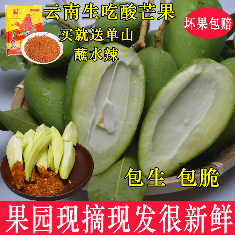 Green mango is eaten raw, sour and crispy, dipped in chili, pregnant women's water, fresh in season, pickled, sprouted, and seasonal ivory specialty