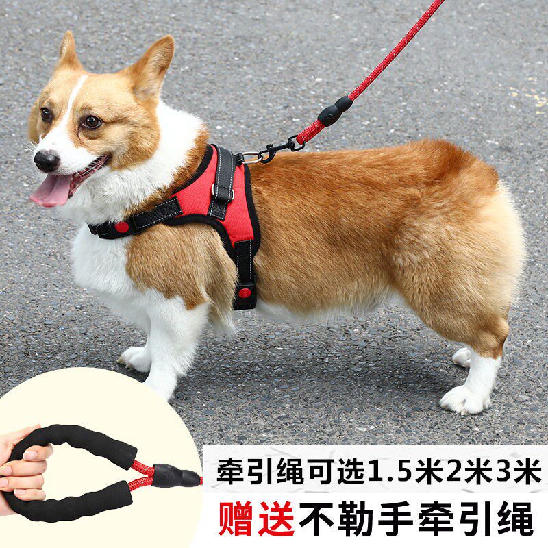 Dog Traction Rope Chest baby bag Medium Large Dog Walking Dog Gold Mullabrador Vest Type Dog Rope Dog Necklace