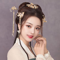 Hanfu hair crown womens ancient style headwear full set of ancient costumes and fairy style tassels walking wig hairpin model with