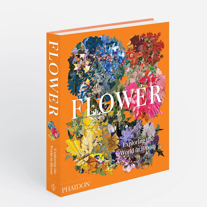 In-Stock Flower: Flower and Art Design Photography World - Takashi Mizutani/David Hockney/Yayoi Kusama/Da Vinci - Botanical Flowers In-Stock Flower: Flower and Art Design Photography World - Takashi Mizutani/David Hockney/Yayoi Kusama/Da Vinci - Botanical Flowers