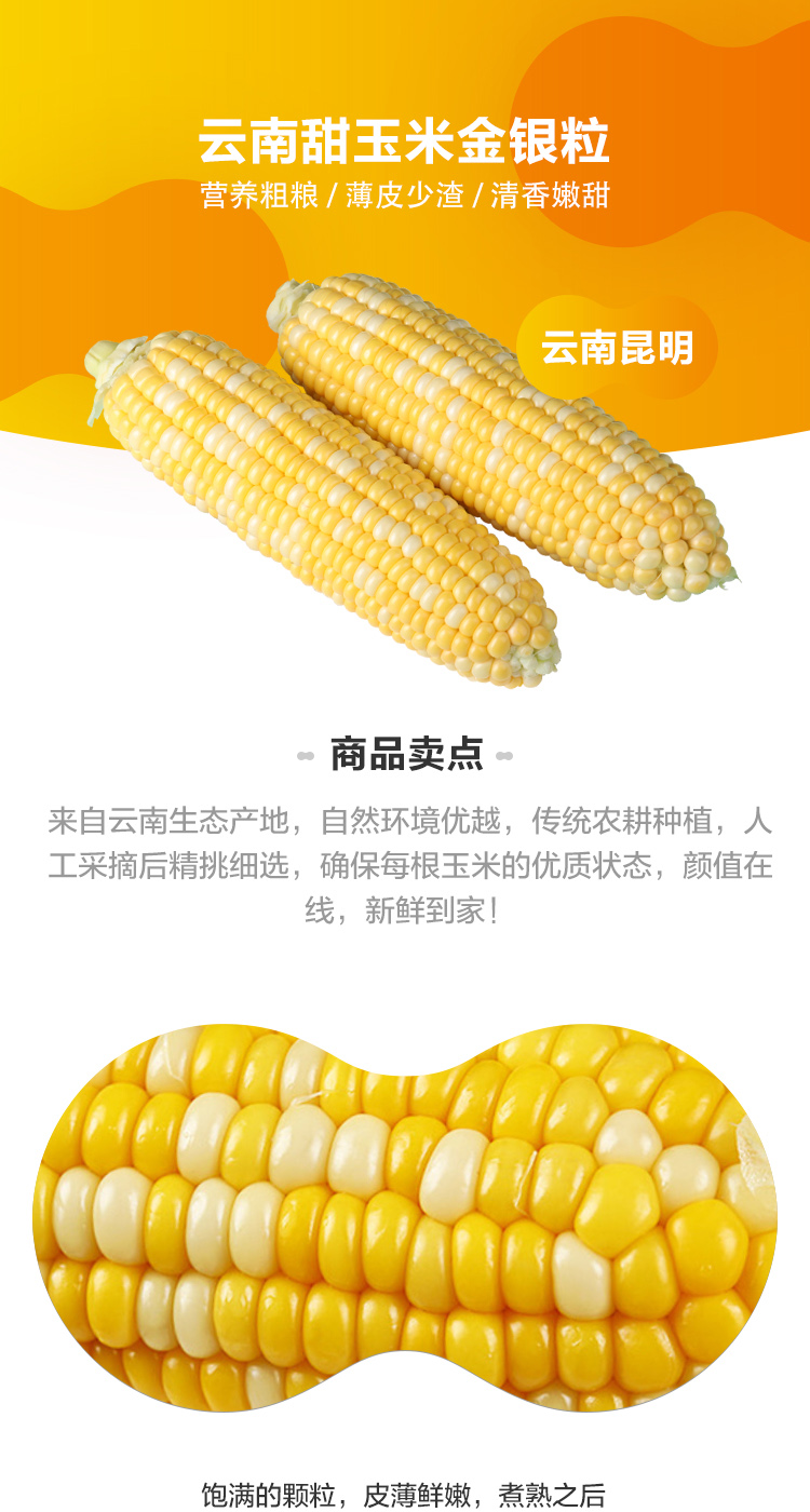 【盒马】云南水果玉米4只