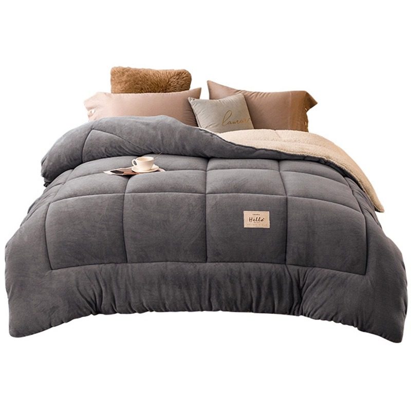 2025 Thickened Warm Milk Velvet Lamb Fleece Double-Sided Fleece Winter Quilt Core Spring and Autumn Quilt Winter Student Single Quilt