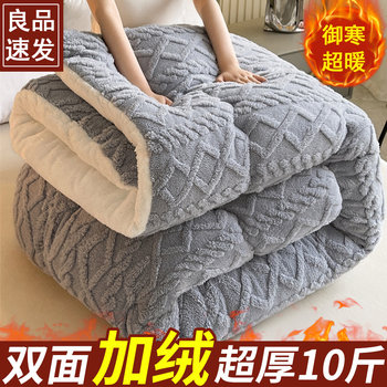 Lamb's Wool Quilt Core Cotton Quilt for Home Dormitory Single Student Winter Taffeta Milk Velvet Warm Thickened Winter Quilt