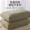 Non-Collapsing Pillow to Aid Sleep and Protect the Cervical Spine, Low Pillow for Students, Single Pair, Adult Pillow Core, Non-Collapsing and Non-Deforming