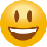 乐清市玥昉电气有限公司的LOGO