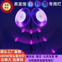 White to black LED UV lamp double head 480W UV395nm magic silk white to black hair salon special lamp