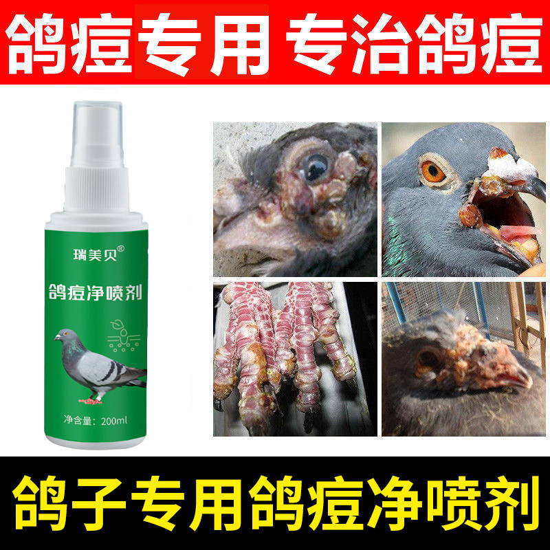 鸽痘专治喷剂怎么选?幼鸽眼角嘴角长痘别乱用药!-鸟禽其他-淘宝百科网